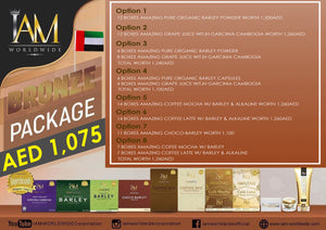 BRONZE UAE PACKAGE